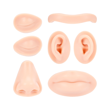 A Pound of Flesh - Partes de Repuesto para Cabeza Modular Para Tatuaje, PMU y Piercing - Tono Fitzpatrick 2