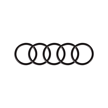 Pack de 5 O-Rings para Cheyenne Thunder y Spirit